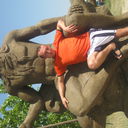 ���������� ���������, ���� ������� �������, 43 ����, ������������ 