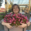 ���������� �����������, ���� ������� ����, 56 ���, ������������ ��� ������, ����� � ���������, c�������� ���������