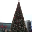 ���������� ����, ���� ������� �������, 53 ����, ������������ ��� ������