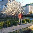  ,   Arman, 39 ,   ,   , c 
