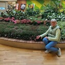 ���������� ��������, ���� ������� �������, 67 ���, ������������ ��� c�������� ���������