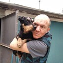 ���������� ������, ���� ������� ����, 40 ���, ������������ ��� c�������� ���������, ���������