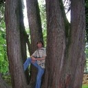 ���������� ���������, ���� ������� ����, 46 ���, ������������ ��� ������, ����� � ���������