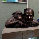 ���������� ����, ���� ������� ����, 62 ����, ������������ ��� ������, ����� � ���������, c�������� ���������