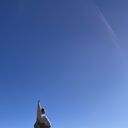 ���������� ������-��-����, ���� ������� �����, 29 ���, ������������ ��� ����� � ���������, c�������� ���������