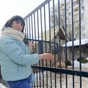 ���������� ������, ���� ������� ������, 38 ���, ������������ ��� ������, ����� � ���������, c�������� ���������, ���������