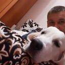 ���������� ���������, ���� ������� ������, 35 ���, ������������ ��� ������, ����� � ���������, c�������� ���������, ���������