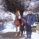 ���������� ����������, ���� ������� ������, 42 ����, ������������ ��� ������, ����� � ���������, c�������� ���������