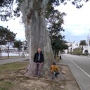  ,   , 35 ,   ,   , c , 
