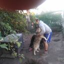 ���������� ��������, ���� ������� �����, 33 ����, ������������ ��� ������, ����� � ���������, c�������� ���������