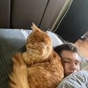 ���������� ��������, ���� ������� ������, 29 ���, ������������ ��� ������, ����� � ���������, c�������� ���������