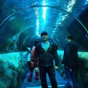 ���������� ��������, ���� ������� Alexander, 36 ���, ������������ ��� ������, ����� � ���������