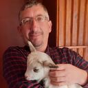 ���������� �����������, ���� ������� ���������, 49 ���, ������������ ��� ������, ����� � ���������