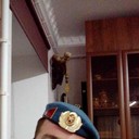 ���������� �����, ���� ������� �������, 42 ����, ������������ ��� ����� � ���������, c�������� ���������