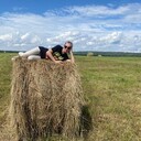 ���������� ����������, ���� ������� �������, 32 ����, ������������ ��� ������, ����� � ���������, c�������� ���������