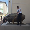 ���������� �������, ���� ������� ����, 40 ���, ������������ ��� ������, ����� � ���������, c�������� ���������