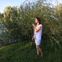 ���������� �����, ���� ������� �����, 54 ����, ������������ ��� ����� � ���������, c�������� ���������