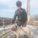 ���������� �����������, ���� ������� ����, 50 ���, ������������ ��� ������, ����� � ���������