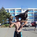 ���������� ��������, ���� ������� ���������, 42 ����, ������������ ��� ������, ����� � ���������, c�������� ���������