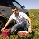 ���������� ������ ��������, ���� ������� Ruslan, 36 ���, ������������ ��� ������, ����� � ���������, c�������� ���������, ���������