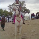 ���������� ������, ���� ������� ������, 42 ����, ������������ 