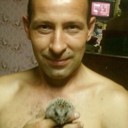  ,   , 56 ,   