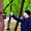 ���������� �������, ���� ������� �������, 47 ���, ������������ ��� c�������� ���������