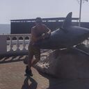  ,   Roman, 33 ,   ,   , c , 