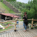  ,   Karolina, 51 ,   ,   , c 