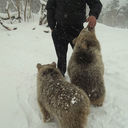 ���������� �������, ���� ������� 598 91 57 85, 40 ���, ������������ ��� ������, ����� � ���������, c�������� ���������