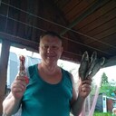 ���������� ������, ���� ������� �����, 54 ����, ������������ ��� ������, ����� � ���������, c�������� ���������