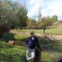 ���������� �������, ���� ������� ��������, 35 ���, ������������ ��� ������, ����� � ���������, c�������� ���������