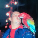 ���������� �����, ���� ������� ��������, 44 ����, ������������ ��� ������, ����� � ���������, c�������� ���������