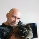  ,   , 46 ,   ,   , c , 