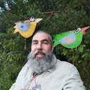   ,   , 54 ,   c 