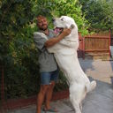 ���������� ������, ���� ������� �������, 55 ���, ������������ ��� ����� � ���������, c�������� ���������