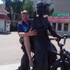  ,   , 50 ,  