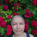 ���������� ���������, ���� ������� ���, 51 ���, ������������ ��� ������, ����� � ���������, c�������� ���������, ���������