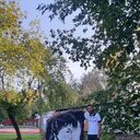 ���������� ����������, ���� ������� �����, 37 ���, ������������ ��� ���������