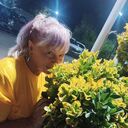 ���������� �����, ���� ������� ������, 58 ���, ������������ ��� ������, ����� � ���������, c�������� ���������