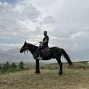 ���������� ������, ���� ������� ������, 52 ����, ������������ ��� ����� � ���������, c�������� ���������