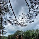 ���������� �����-���������, ���� ������� ����, 39 ���, ������������ ��� ������, ����� � ���������