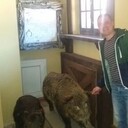 ���������� ������, ���� ������� �����, 40 ���, ������������ ��� ����� � ���������, c�������� ���������, ���������