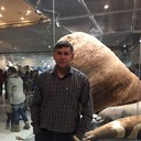 ���������� �����������-��-�����, ���� ������� ����, 41 ���, ������������ ��� ������, ���������