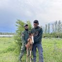 ���������� ������, ���� ������� �����, 38 ���, ������������ ��� ������, ����� � ���������, c�������� ���������, ���������