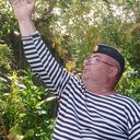 ���������� ������, ���� ������� ���������, 65 ���, ������������ ��� ������, ����� � ���������