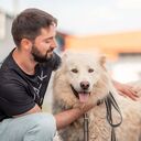 ���������� ��������, ���� ������� ����, 35 ���, ������������ ��� ����� � ���������, c�������� ���������, ���������