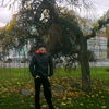  ,   , 37 ,     , c 