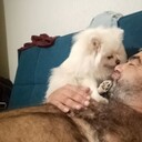  ,   , 43 ,   ,   