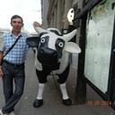 ���������� ����������, ���� ������� ������, 50 ���, ������������ ��� ������, ����� � ���������, c�������� ���������